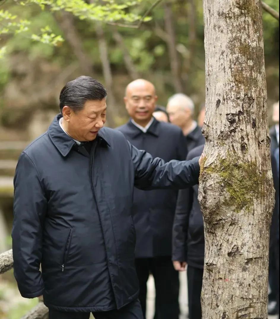 湖南綠楷節(jié)能環(huán)?？萍加邢薰?湖南土壤污染修復(fù),污水處理工程,農(nóng)業(yè)污染治理,環(huán)保工程